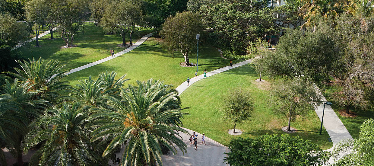 Arial shot of campus from the Merrick Building