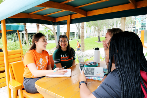 students studying at a glider